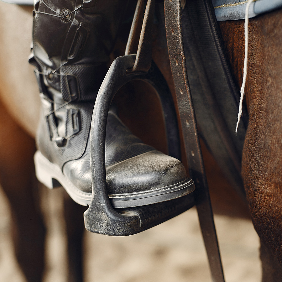 centre equestre mougins-cours d equitation grasse-pension chevaux cannes-equitation antibes-competition equestre mandelieu la napoule-poney le cannet-cheval vallauris