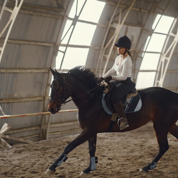 centre equestre mougins-cours d equitation grasse-pension chevaux cannes-equitation antibes-competition equestre mandelieu la napoule-poney le cannet-cheval vallauris